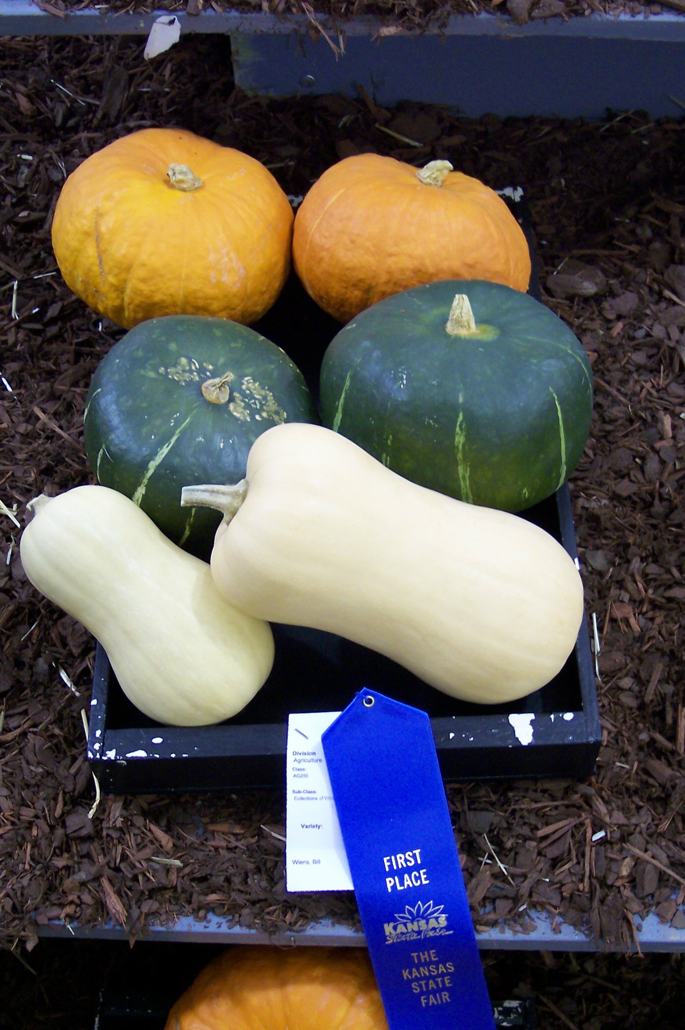 Assorted Winter Squash
